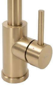 REA-B4821 - Drezová batéria s vysúvateľnou sprchou COLIN 42,5 cm, brúsené zlato