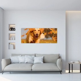 Obraz - Zlatý retriever (120x50 cm)