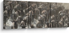 Obraz - Stádo pakoňov (s hodinami) (90x30 cm)