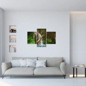 Obraz bežiaceho tigra (90x60 cm)