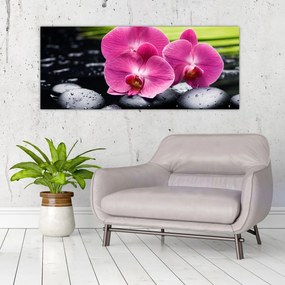 Obraz - Ružové orchidey s palmovým listom (120x50 cm)