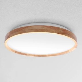 Brilagi - LED Stmievateľné stropné svietidlo ALSON LED/48W/230V 3000-6500K + DO