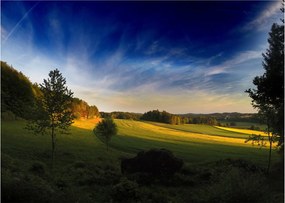 Obraz - Horská lúka (70x50 cm)