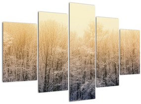 Obraz mrazivého lesa (150x105 cm)