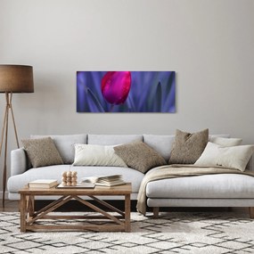 Obraz pupete tulipánu (120x50 cm)