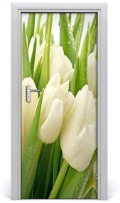 Fototapeta samolepiace biele tulipány 75x205 cm