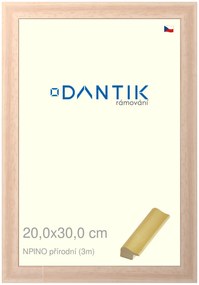 DANTIK rám na obraz 20x30 | NPINO přírodní (Sklo Čiré)