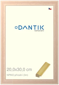 DANTIK rám na obraz 20x30 | NPINO přírodní (Sklo Čiré)