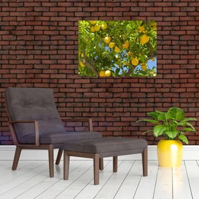 Sklenený obraz - Citrónovník (70x50 cm)