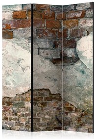 Artgeist Paraván - Tender Walls [Room Dividers]