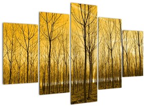 Obraz lesa pri západe slnka (150x105 cm)