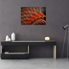 Obraz - Abstraktná imitácia peria (70x50 cm)