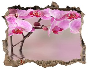 Samolepící díra na stěnu Ružová orchidea nd-k-79883275