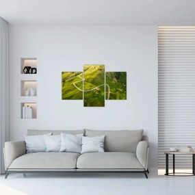 Obraz - Náhorná lúka (90x60 cm)