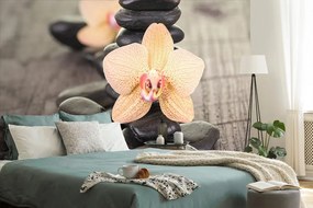Samolepiaca fototapeta krásna orchidea so zen kameňmi