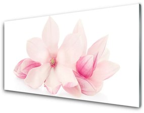 Obraz plexi Kvety plátky rastlina príroda 120x60 cm