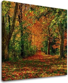 Obraz na stenu STROMY