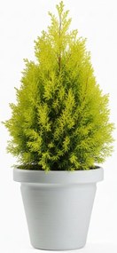 PLASTOVÝ KVETINÁČ SRTIA RIFLO 55X48 CM BIELA