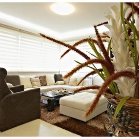 Ecolite WZSD-25W/LED - LED Stmievateľné svietidlo DIAMANT LED/25W/230V + DO