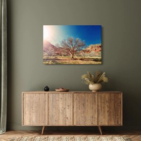 Obraz stromu v púšti (90x60 cm)