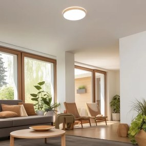 Brilagi - LED stlmiteľné stropné svietidlo PINE LED/24W/230V + diaľkové ovládanie