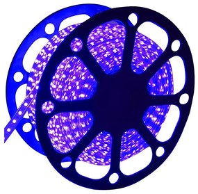 Aigostar - LED vonkajší pás 50m LED/300W/230V modrá IP65