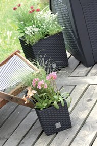 Plastový kvetináč DRTS170L 17 cm - mocca