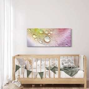 Obraz - Kvapôčky (120x50 cm)