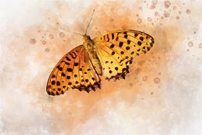 Obraz - Oranžový motýľ, aquarel (90x60 cm)