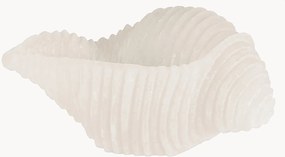 Ručne vyrobená sviečka v tvare mušle Cargol