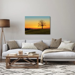 Obraz stromu na poli (70x50 cm)