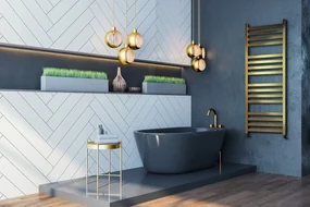 Regnis LOX, vykurovacie teleso 300x1500mm so stredovým pripojením 50mm, 644W, čierna matná, LOX150/30/D5/BLACK