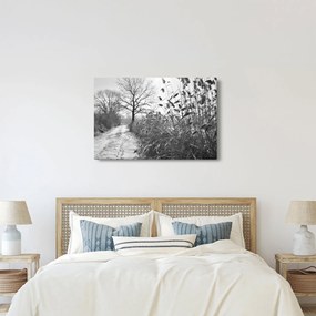 Obraz - Pole v zime (90x60 cm)