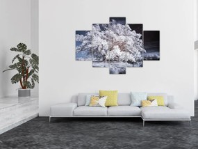 Obraz - Snehobiely strom (150x105 cm)