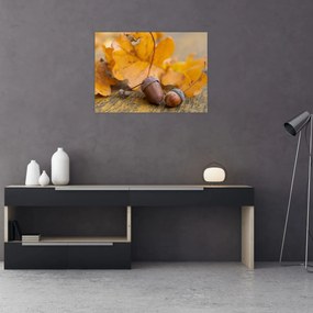 Obraz - Jesenné žalude (70x50 cm)