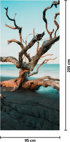 Fototapeta na dvere - Vyplavené na pláži (95x205cm)
