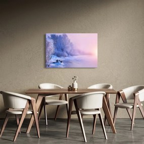 Obraz - Zamrznutá rieka (90x60 cm)