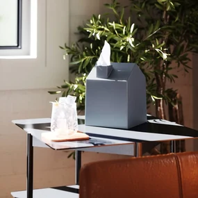 Plastový box na vreckovky Casa – Umbra