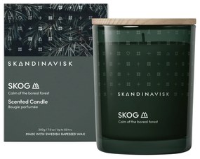 SKANDINAVISK Vonná sviečka v skle SKOG (les) 200 g
