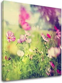 Obraz na stenu RUŽOVÉ KVETY_165-12