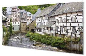 Sklenený obraz Germany Staré budovy River 100x50 cm
