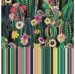Veľkoplošná fototapeta Kvitnúce kaktusy