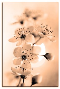 Obraz na plátne - Malé kvety na vetve - obdĺžnik 7173FA (100x70 cm)