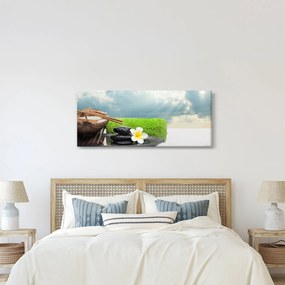 Obraz - Spa and relax (120x50 cm)