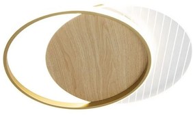 LED Stmievateľné stropné svietidlo LED/60W/230V 3000-6500K + diaľkové ovládanie