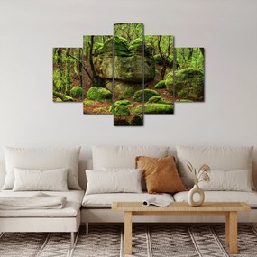 Obraz čarovného lesa (150x105 cm)