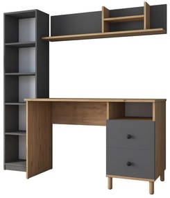 Moderná súprava Darah s písacím stolom, knižnicou a policou orech/antracit