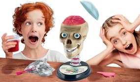 Veda Zábava Bláznivá anatómia Poľský jazykový set Clementoni 50697