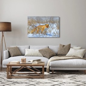 Obraz - Lišiak (90x60 cm)
