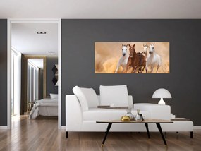 Obraz - Stádo koní (120x50 cm)